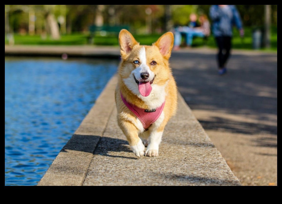 Köpek Günlükleri: Farklı Köpek Irklarını Keşfetmek